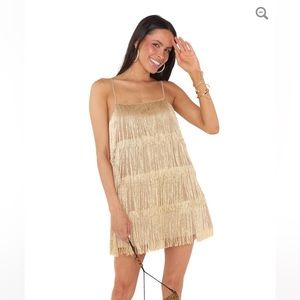Show me your mumu fringe dress